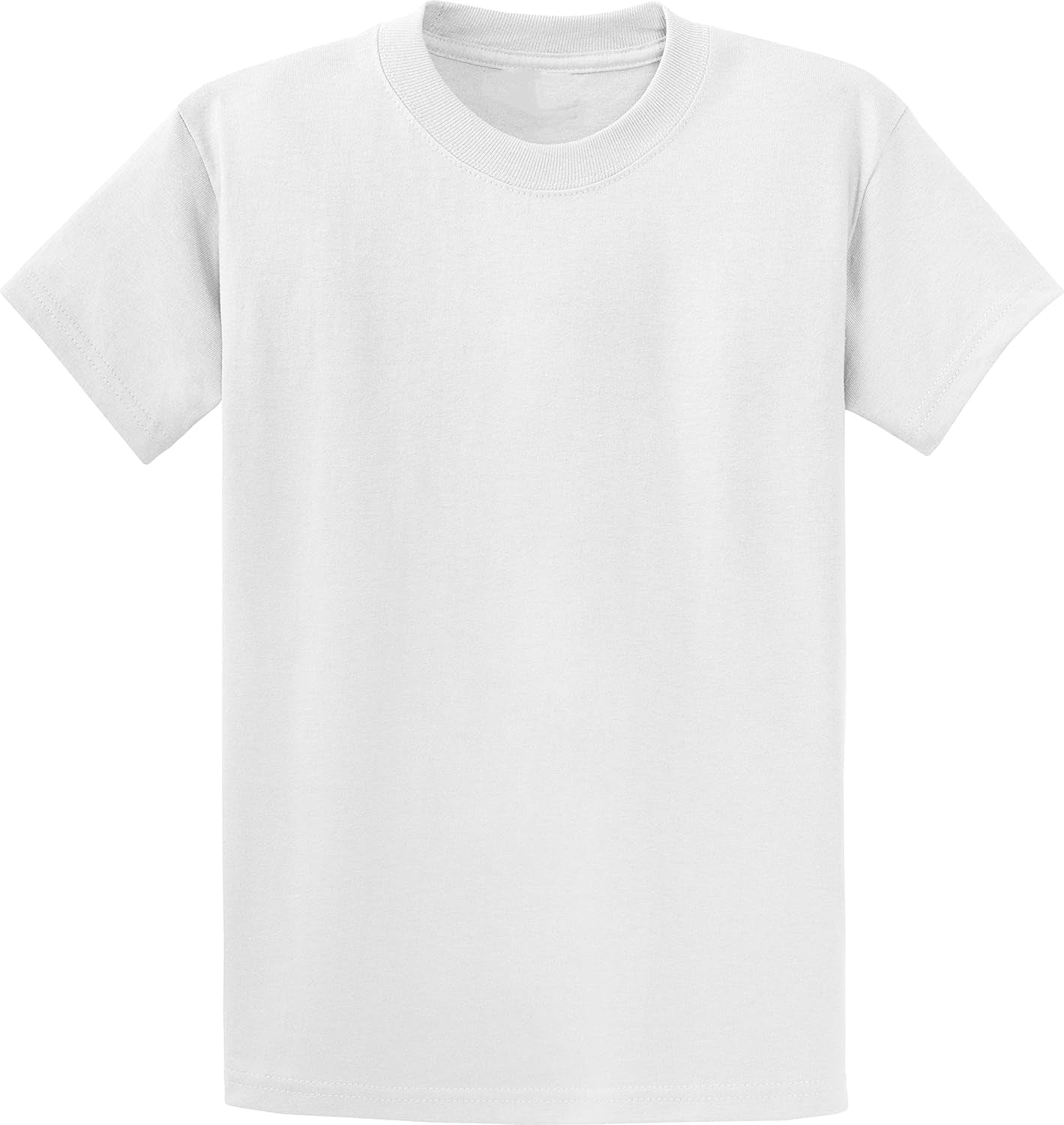 Mens Heavyweight Cotton T-Shirt Plain Tee (Available in Big & Tall)